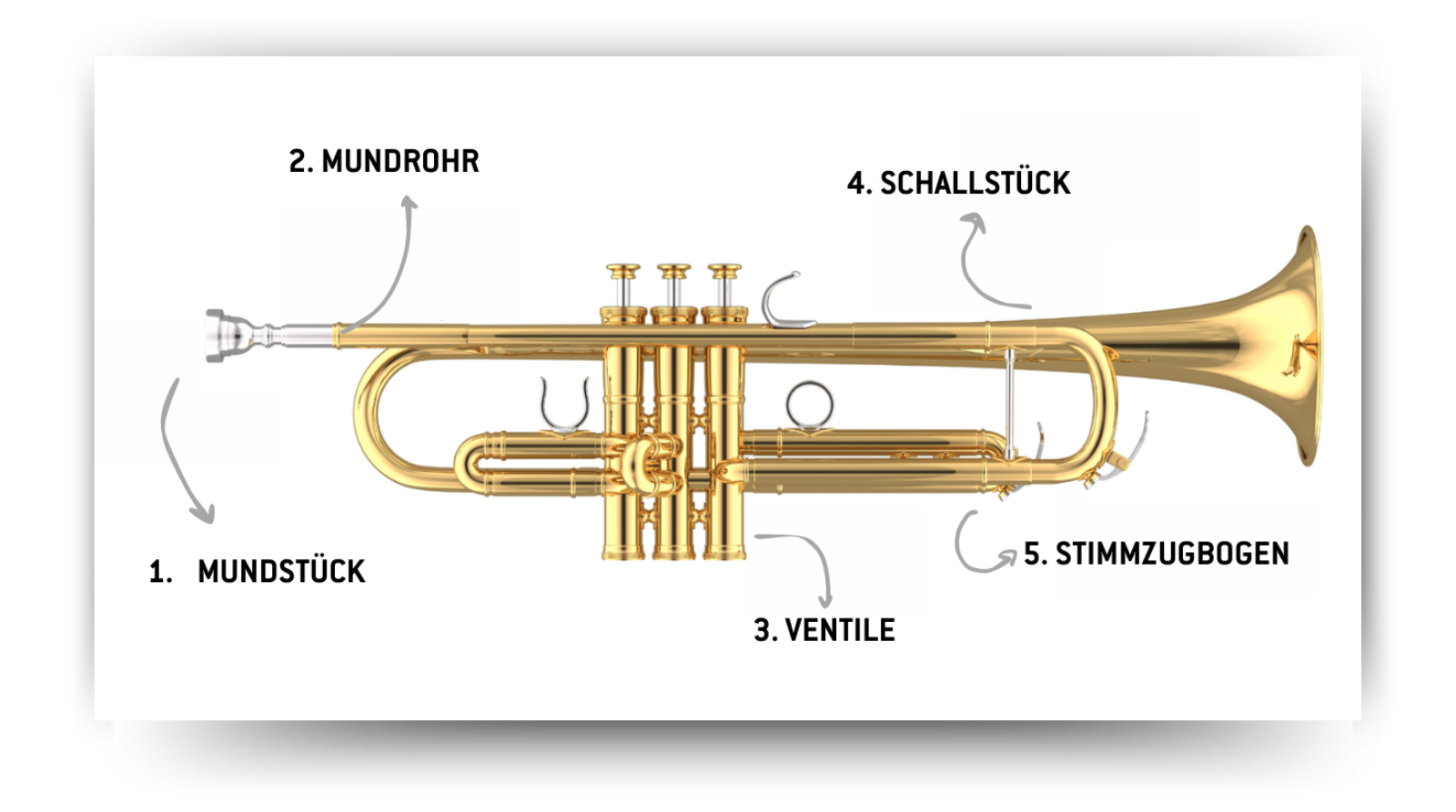 Aufbau einer B-Trompete detailliert